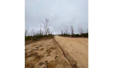 QUILPUÉ / VALLE VERDE / PARCELA 5.000 M2