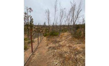 QUILPUÉ / VALLE VERDE / PARCELA 5.000 M2