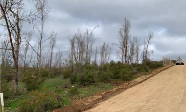 QUILPUÉ / VALLE VERDE / PARCELA 5.000 M2
