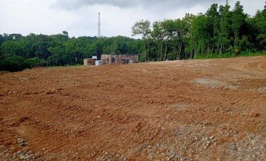 650 Ribu/m Tanah Purworejo Cocok Hunian Pun Investasi