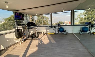 PENTH HOUSE CON ROOF GARDEN PRIVADO