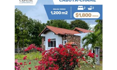 SE ALQUILA CASA  EN CABUYA - CHAME