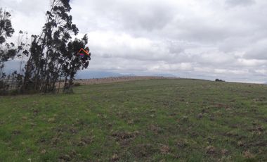 Venta de terreno en Carchi cantón Bolívar parroquia García Moreno