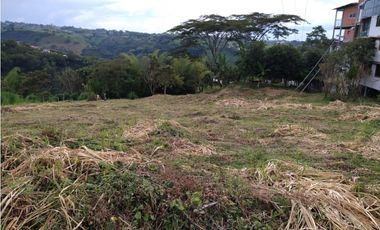 Lote en Venta para Desarrollo de Torres Cerca de la UTP 🌟