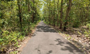 Tanah 90 Jt-an Murah di Sentolo Jogja, dekat Exit Tol Banguncipto