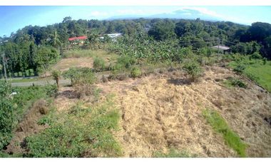 VENDO TERRENO DE 3HA EN VOLCAN PUEBLO