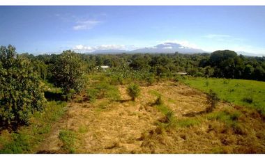 VENDO TERRENO DE 3HA EN VOLCAN PUEBLO