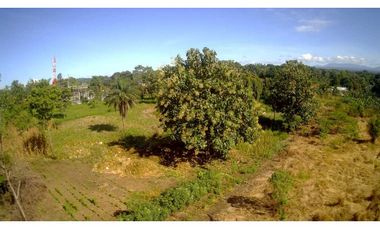 VENDO TERRENO DE 3HA EN VOLCAN PUEBLO