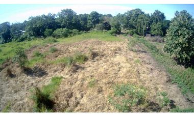 VENDO TERRENO DE 3HA EN VOLCAN PUEBLO