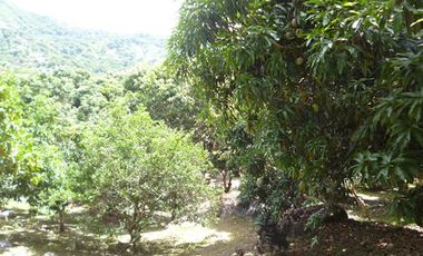 VENTA de FINCAS en ANAPOIMA