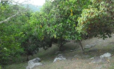 VENTA de FINCAS en ANAPOIMA