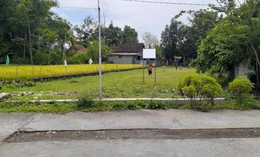 TANAH DI BANGUNHARJO SEWON BANTUL JALAN IMOGIRI BARAT DEKAT KOTA