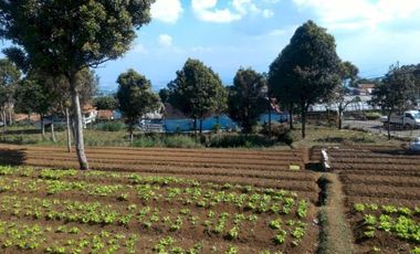 Tanah Dekat STIKES Rajawali Cihanjuang,Bandung Barat Pinggir jalan