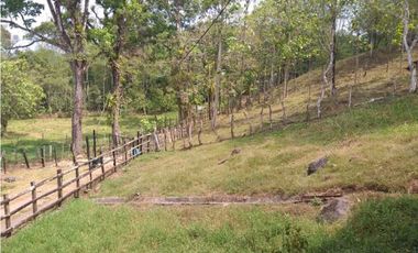 VENDO FINCA GANADERA DE 64HECTAREAS