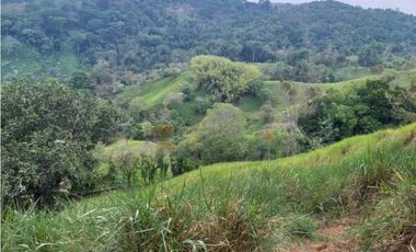 VENDO FINCA GANADERA DE 64HECTAREAS