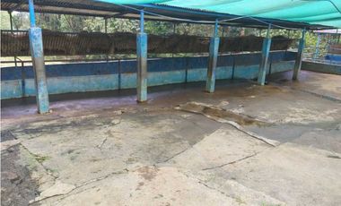 VENDO FINCA GANADERA DE 64HECTAREAS