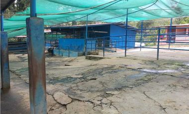 VENDO FINCA GANADERA DE 64HECTAREAS
