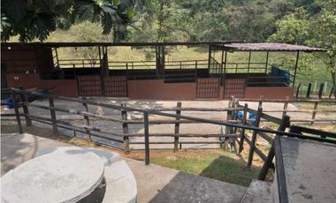 VENDO FINCA GANADERA DE 64HECTAREAS