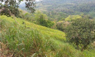 VENDO FINCA GANADERA DE 64HECTAREAS