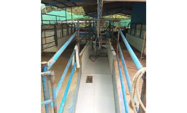 VENDO FINCA GANADERA DE 64HECTAREAS