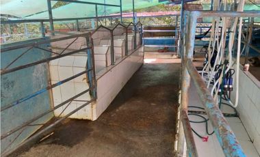 VENDO FINCA GANADERA DE 64HECTAREAS