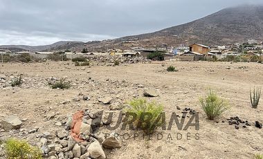 VENTA SITIO 5.000M2 EN CRUZ DE CAÑAS COQUIMBO