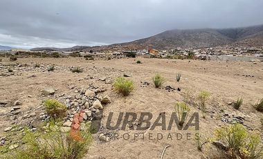 VENTA SITIO 5.000M2 EN CRUZ DE CAÑAS COQUIMBO