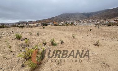 VENTA SITIO 5.000M2 EN CRUZ DE CAÑAS COQUIMBO
