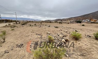 VENTA SITIO 5.000M2 EN CRUZ DE CAÑAS COQUIMBO