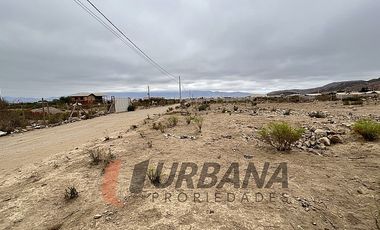 VENTA SITIO 5.000M2 EN CRUZ DE CAÑAS COQUIMBO