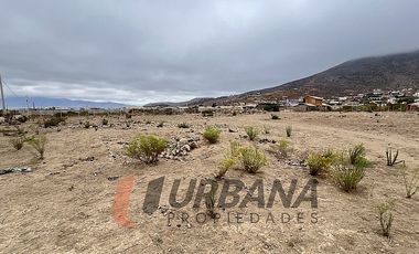 VENTA SITIO 5.000M2 EN CRUZ DE CAÑAS COQUIMBO