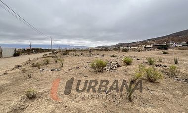 VENTA SITIO 5.000M2 EN CRUZ DE CAÑAS COQUIMBO
