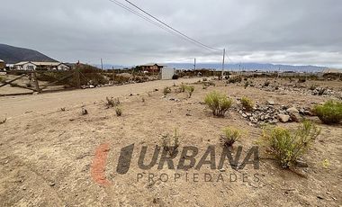 VENTA SITIO 5.000M2 EN CRUZ DE CAÑAS COQUIMBO
