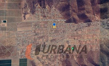 VENTA SITIO 5.000M2 EN CRUZ DE CAÑAS COQUIMBO