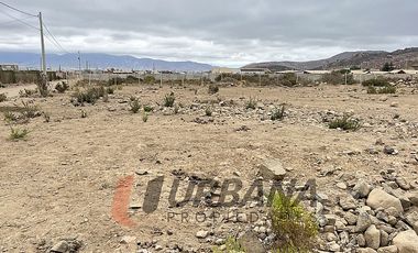 VENTA SITIO 5.000M2 EN CRUZ DE CAÑAS COQUIMBO