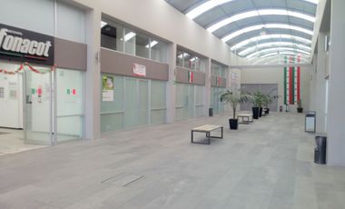 Renta Local en Plaza Comercial sobre Av. Tollocan
