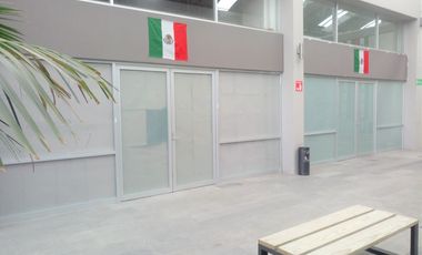 Renta Local en Plaza Comercial sobre Av. Tollocan