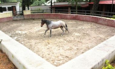 Rancho ecuestre en medio del bosque en Huitzilac, Morelos