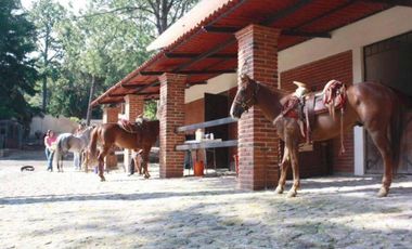 Rancho ecuestre en medio del bosque en Huitzilac, Morelos