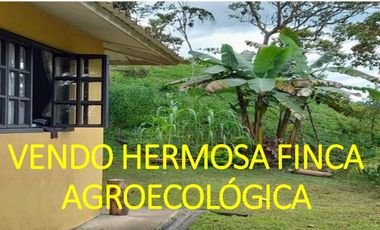 finca en venta en suaita. Cod V1264