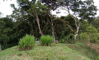 finca en venta en suaita. Cod V1264