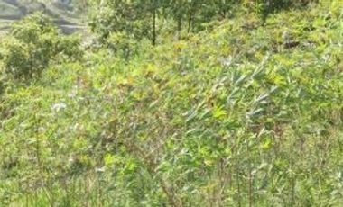 finca en venta en suaita. Cod V1264