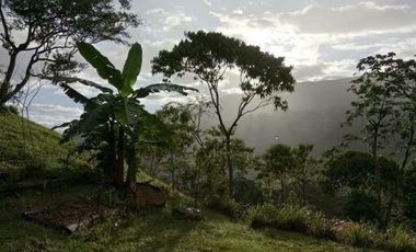 finca en venta en suaita. Cod V1264