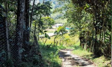 finca en venta en suaita. Cod V1264