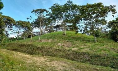 finca en venta en suaita. Cod V1264