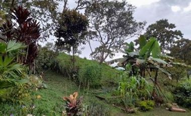 finca en venta en suaita. Cod V1264