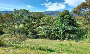 finca en venta en suaita. Cod V1264
