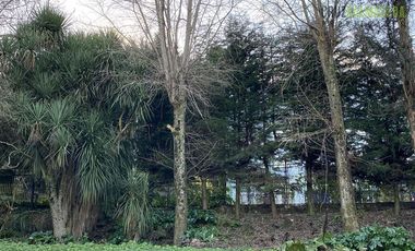 Terreno Construccion  en Venta en Pelluco