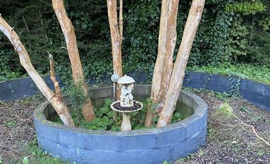 Terreno Construccion  en Venta en Pelluco