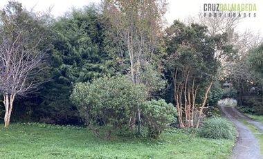 Terreno Construccion  en Venta en Pelluco